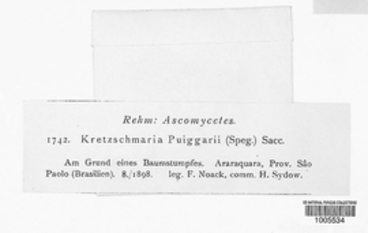 Kretzschmaria image